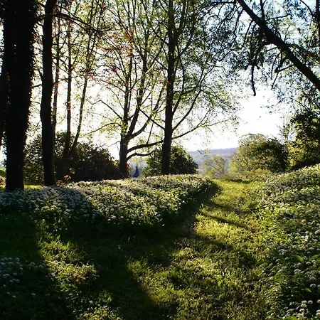 Château De Kervoazec - D'hôtes 3*